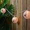 10ct. Black Spider in Web Paper Lantern Halloween Lights